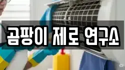 곰팡이 제로 연구소