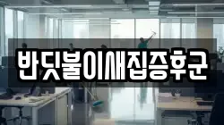 반딧불이새집증후군