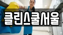 클린스쿨서울
