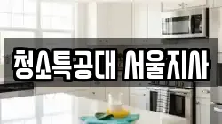 청소특공대 서울지사