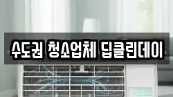 수도권 청소업체 딥클린데이