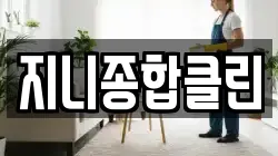 지니종합클린