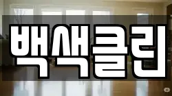 백색클린