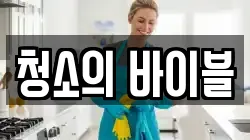 청소의 바이블