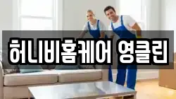 허니비홈케어 영클린
