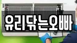 유리닦는오빠