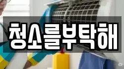 청소를부탁해