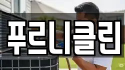 푸르니클린