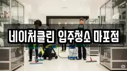 네이처클린 입주청소 마포점