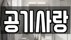 공기사랑