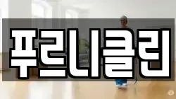 푸르니클린