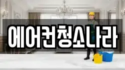 에어컨청소나라
