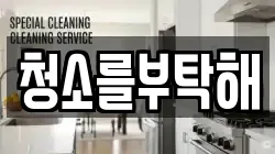 청소를부탁해