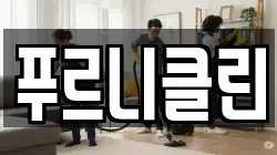 푸르니클린