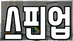스핀업