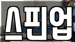 스핀업
