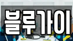 블루가이