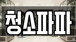 청소파파