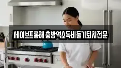 세이브프롬해충방역소독비둘기퇴치전문