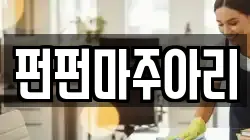 펀펀마주아리