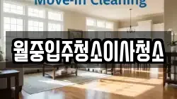 월중입주청소이사청소