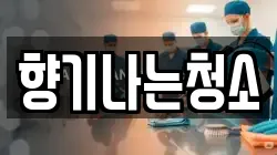 향기나는청소