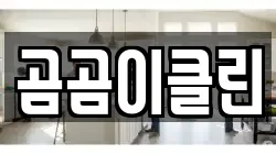 곰곰이클린