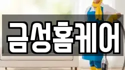 금성홈케어