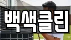 백색클린