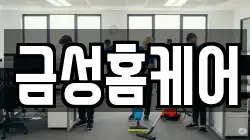 금성홈케어