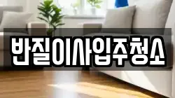 반질이사입주청소