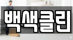 백색클린