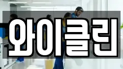 와이클린