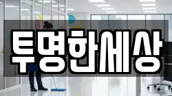 투명한세상
