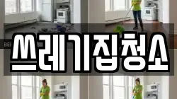 쓰레기집청소