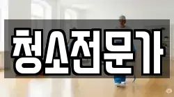 청소전문가