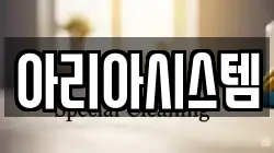 아리아시스템