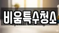 비움특수청소