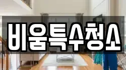 비움특수청소