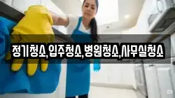 정기청소,입주청소,병원청소,사무실청소