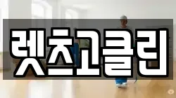 렛츠고클린