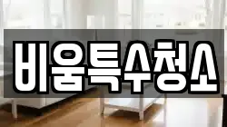 비움특수청소