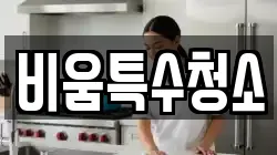 비움특수청소