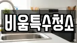 비움특수청소