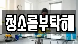 청소를부탁해