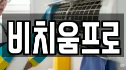 비치움프로