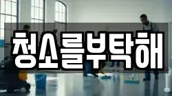 청소를부탁해