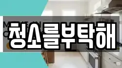 청소를부탁해