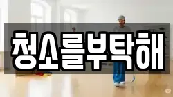 청소를부탁해