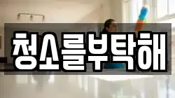 청소를부탁해